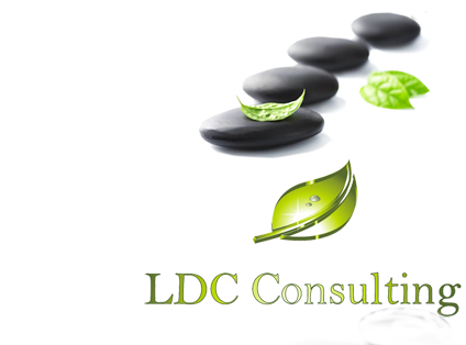 LDC Consulting